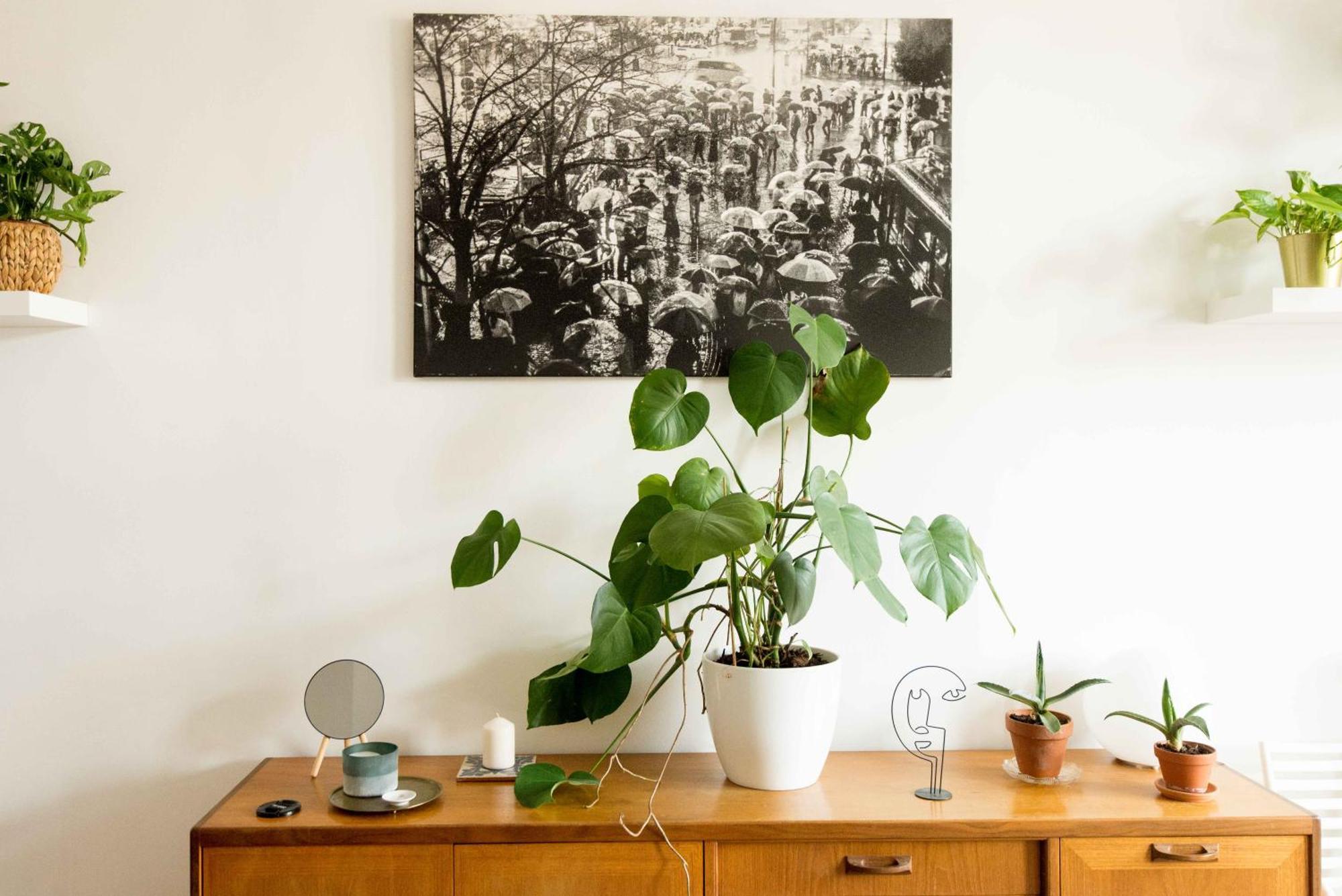 Dohany Design Apartments Budapest Szoba fotó